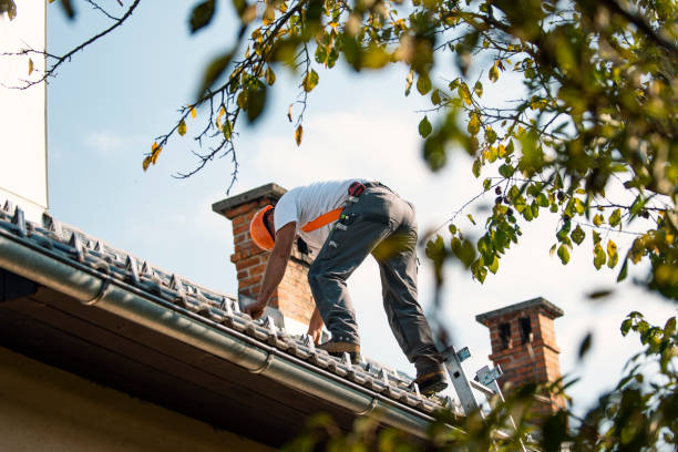 Asphalt Shingles Roofing in Campbell, OH