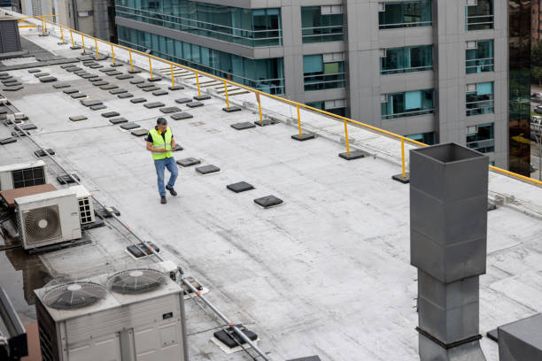 Best Roof Maintenance and Cleaning  in Campbell, OH