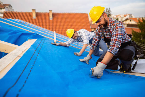 Best Green or Eco-Friendly Roofing Solutions  in Campbell, OH