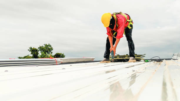 Best Emergency Roof Repair Services  in Campbell, OH
