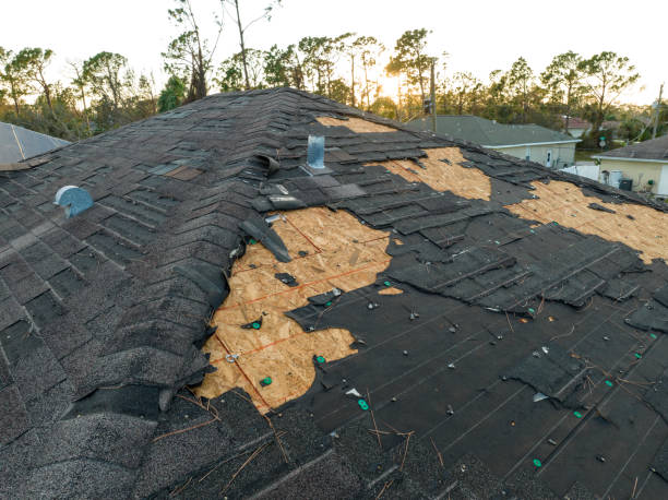 Best Roof Coating and Sealing  in Campbell, OH
